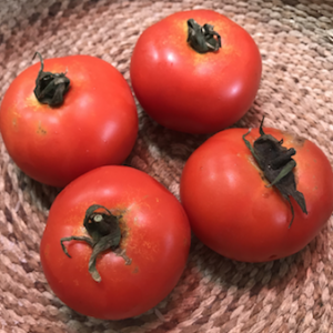 Tomate riñon