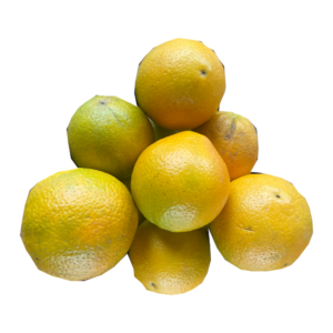 Naranjas Washington (unidad)