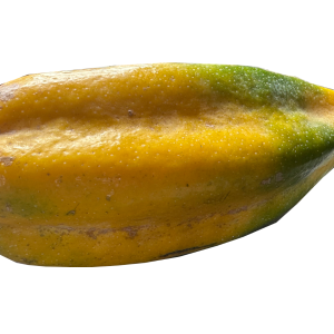 Babaco orgánico grande