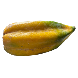 Babaco orgánico pequeño