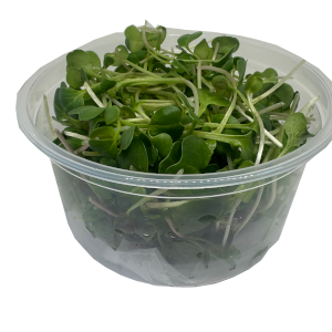 Vegetales germinados orgánicos (75 g)
