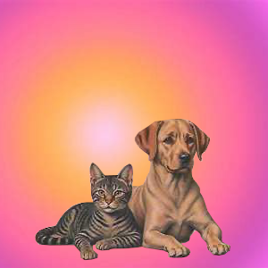 Mascotas