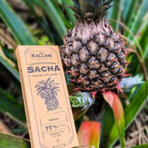 Chocolate orgánico Sacha  - Piña(77%)