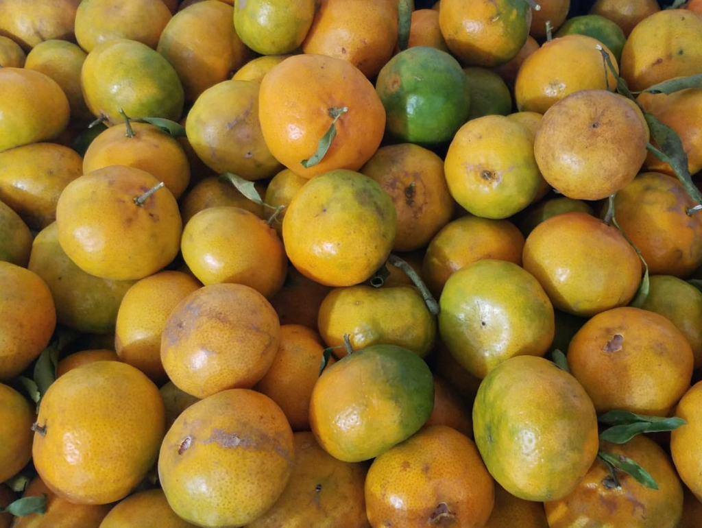 Mandarinas agroecológicas de Minas (15 unid)