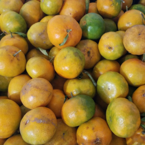 Mandarinas agroecológicas de Minas (15 unid)